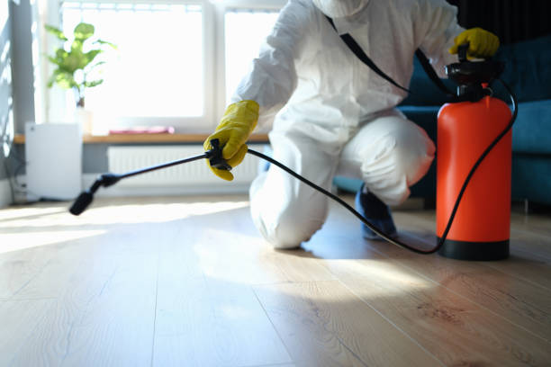 Reliable Odor Removal contractor in Sun City, AZ by Trauma Clean Pros